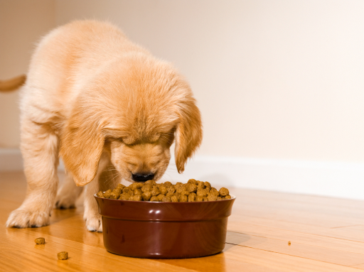 A variety of tasty and healthy dog treats, offering natural ingredients for a nutritious snack.