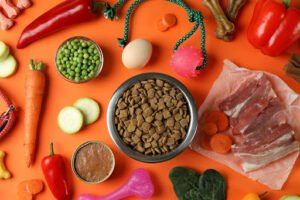 Nutrition for Dogs- A Comprehensive Guide to Your Dog’s Diet