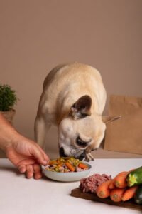 Nutrition for Dogs- A Comprehensive Guide to Your Dog’s Diet