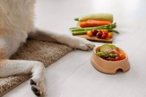 Is Vegetarian Dog Food Healthy?